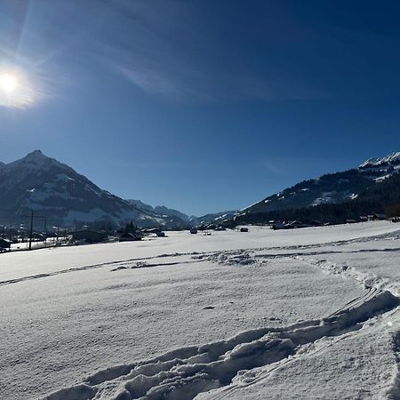 Edelweiss 4 Zi Ferienwohnung In Landhaus Frutigen Buitenkant foto