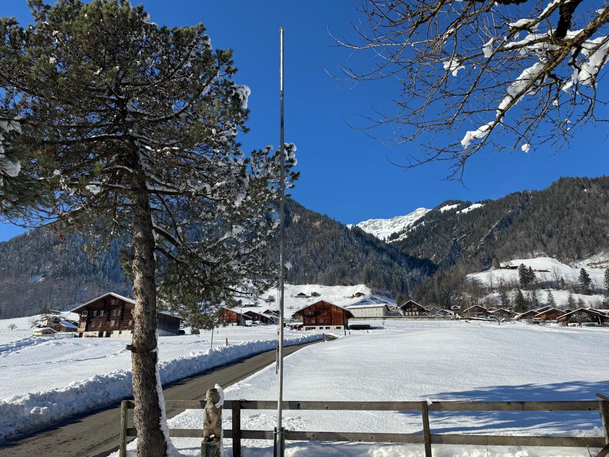 Edelweiss 4 Zi Ferienwohnung In Landhaus Frutigen Buitenkant foto